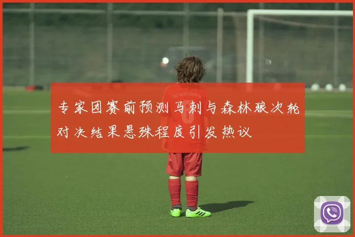 专家团赛前预测马刺与森林狼次轮对决结果悬殊程度引发热议