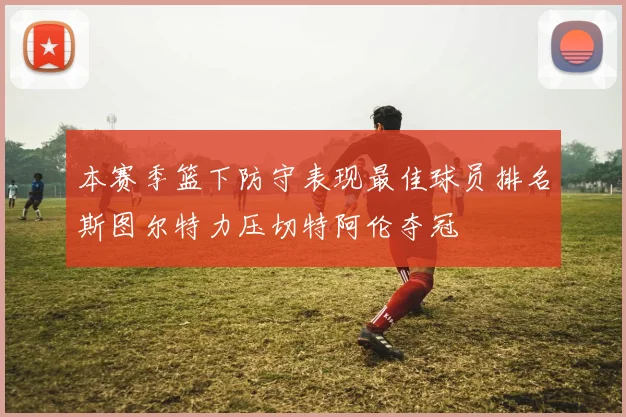 本赛季篮下防守表现最佳球员排名斯图尔特力压切特阿伦夺冠