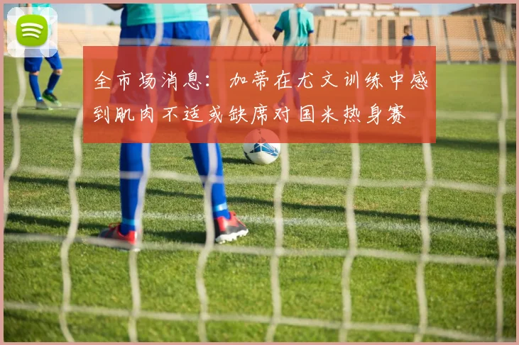 全市场消息：加蒂在尤文训练中感到肌肉不适或缺席对国米热身赛