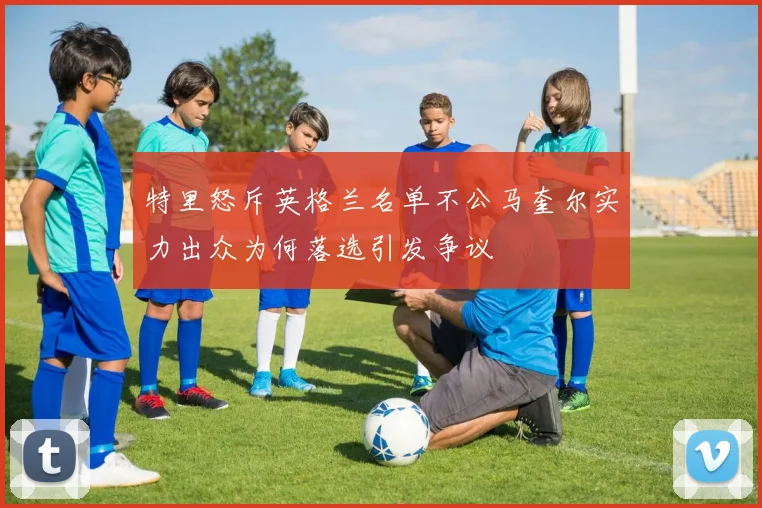 特里怒斥英格兰名单不公马奎尔实力出众为何落选引发争议